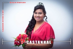 28a92769-c6ba-41c9-8e9d-b04c6ffd9749