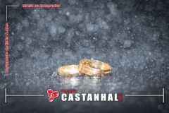 f55069f4-06ee-49f1-a462-68a1bb9bd5e7