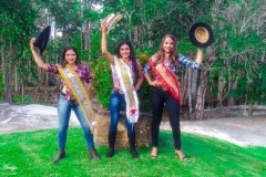 12af8e7a-89b8-452c-8721-8e3ba5be9a40