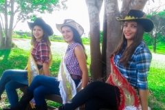 303d7520-3c33-4edd-b8cd-b037a374ddbe