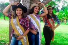 530c7514-41bb-4bf4-81b6-9011c81c6dd5