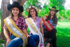 cd8f8cf9-4f9b-4f84-9db1-dcb5ef061a76