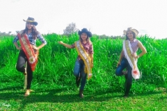 e39f88be-3ea0-46e3-ac36-66ebb9f99a6a