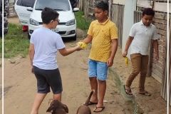 e3745ba2-e580-475e-8351-0fe4ad651d3e