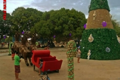 3c5f7b76-0642-4158-870c-7d80c5104052