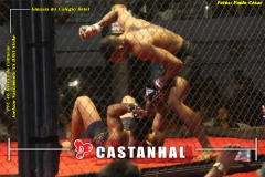 f1c33819-a5f1-4e99-a2c8-2dd5bfef252e