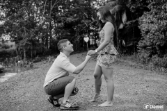 295df6cc-8329-4a6f-aa70-dc2d430b2089