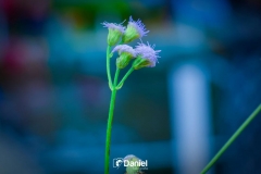 30984ddc-ea88-4a0f-a372-94dad03cd724